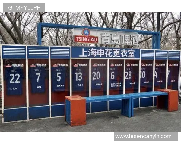 上海排球队状态分析：聚焦球队表现与未来发展方向