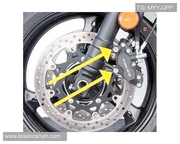 滑雪设备全解析 从选择滑雪板到护具使用技巧的全面指南